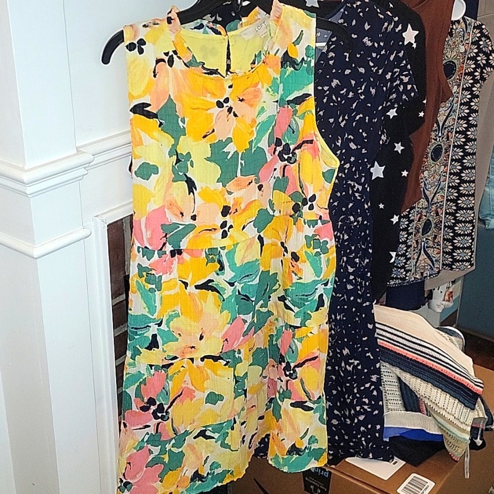 Loft XL petite dress NWT